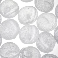 Vedenkäsittely 1mm 3mm 6mm 10mm 20mm rakeiset Siliphos Polyphosphate Crystal RO kalkinpoistopallot